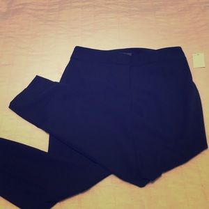 The new Limited exact stretch skinny pant